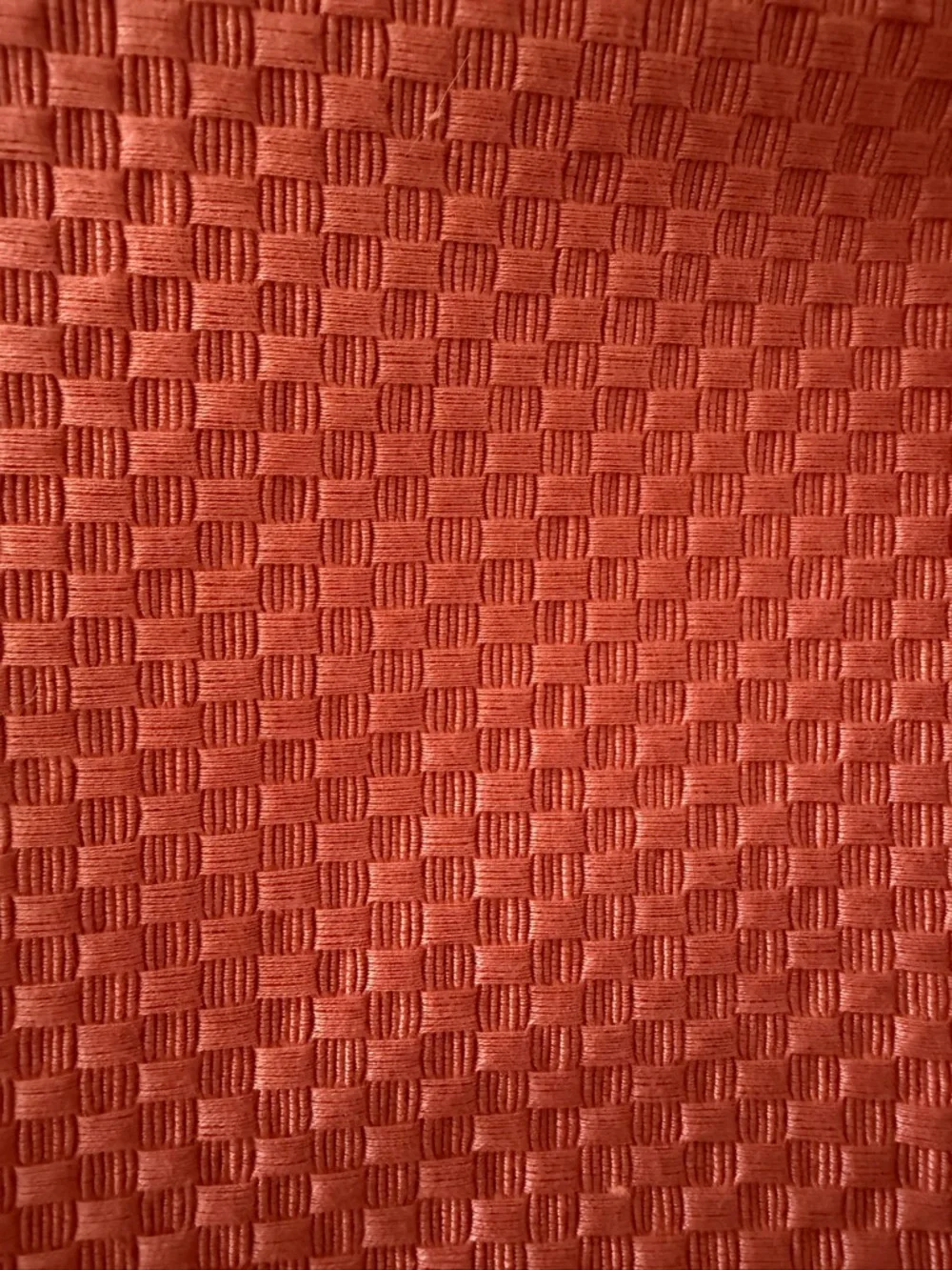 Schumacher Rust Barnet Cotton Fabric Panel / Sample